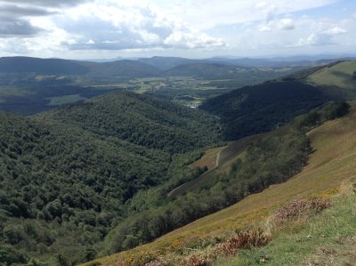 Towards Roncesvalles