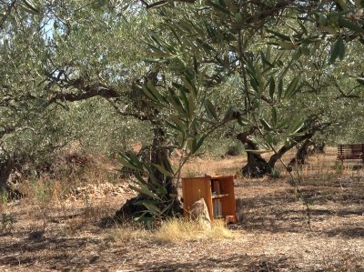 Rest stop towards Lorca
