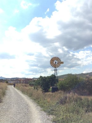On the way to Villatuerta