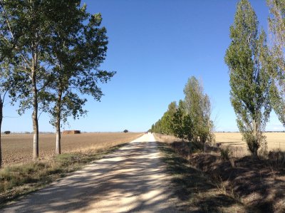 The meseta