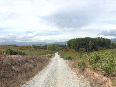 Near Camponaraya