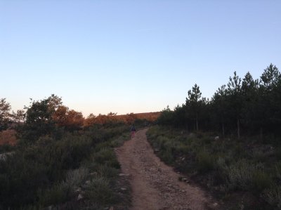 2017-09-20 07:19