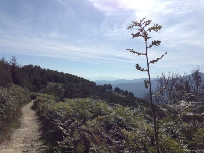La laguna
