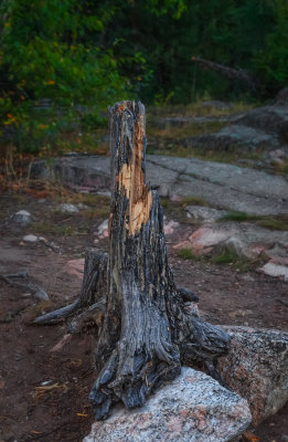 _IP_9458-Edit.jpg