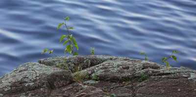 _IP_9640-Edit.jpg