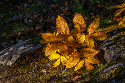 _IP_9697-Edit.jpg