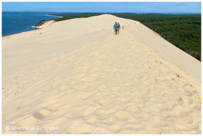 Dune du Pilat