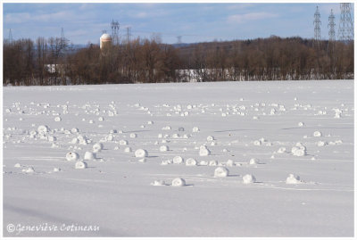 Rouleaux de neige