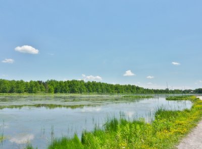 Sandy Ridge Wetlands park