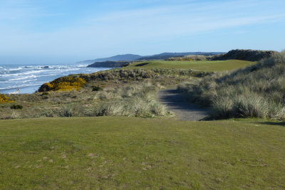 Bandon Dunes #6