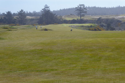 Bandon Dunes #17