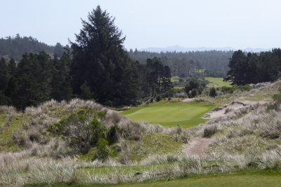 Bandon Trails #2