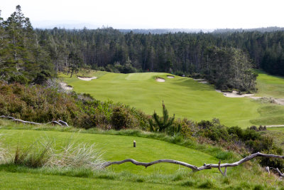 Bandon Trails #14