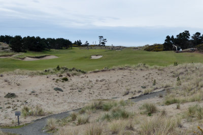 Pacific Dunes #2