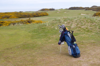 Pacific Dunes #3