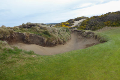 Pacific Dunes #3