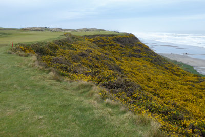Pacific Dunes #4