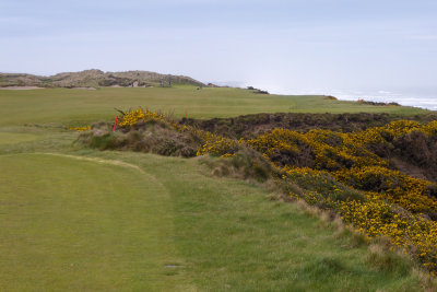 Pacific Dunes #4