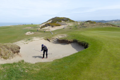 Pacific Dunes #14