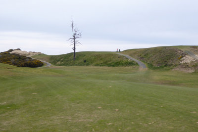 Old MacDonald #3