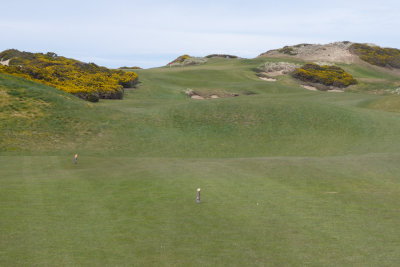 Old MacDonald #7