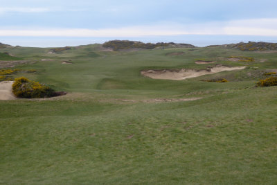 Old MacDonald #15