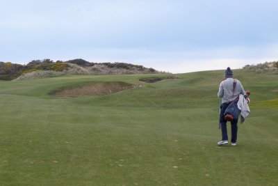 Old MacDonald #15
