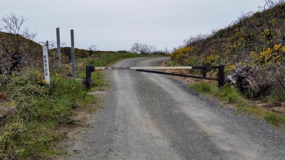 Mystery Gate