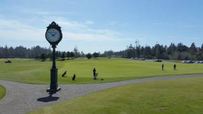 Practice Area
