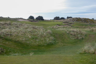 Pacific Dunes #5