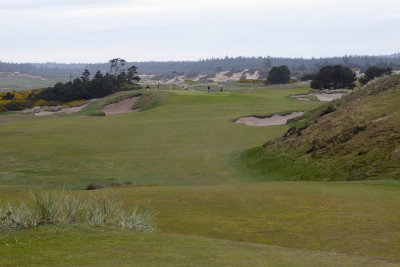 Pacific Dunes #6