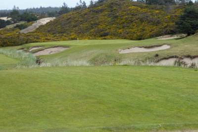 Pacific Dunes #17