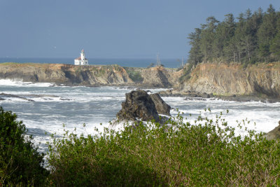 Cape Arago