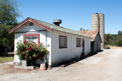 Downtown Los Olivos