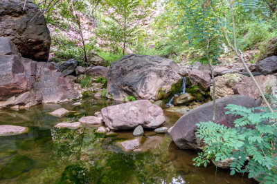 Pine Creek