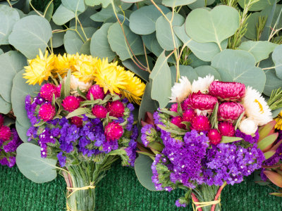 Fresh Flowers