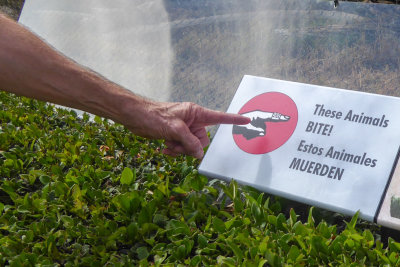Warning