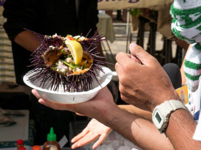 Fresh Seafood
