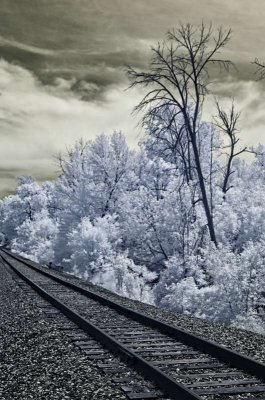 elm street train xing ir_02.jpg