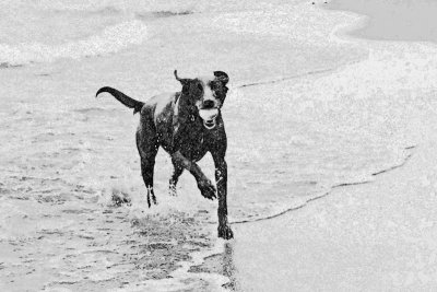 2018 Aug mitch bw 01.jpg