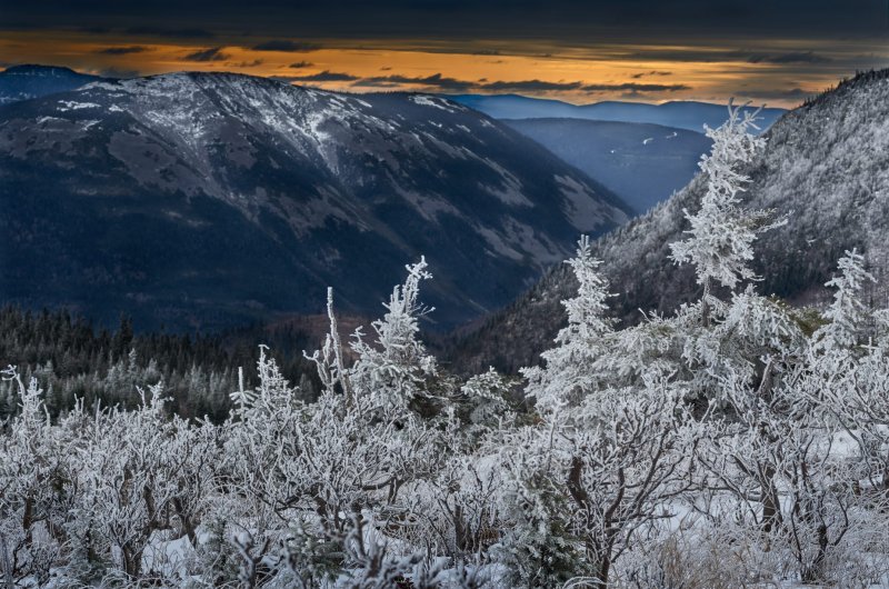 Au pays de l'hiver