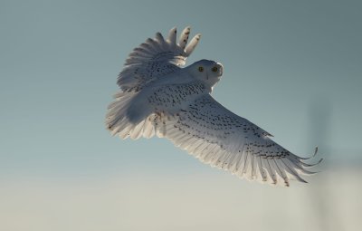 g10/90/993290/3/168648550.AHOpRIE6.jpg