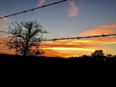 Palomino Ranch Leander Texas Sunset