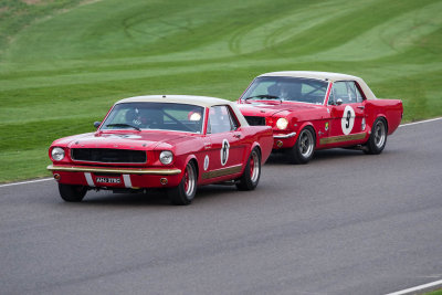 Goodwood 75th Members Meeting 2017