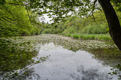 Furnace pond