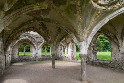Waverley Abbey