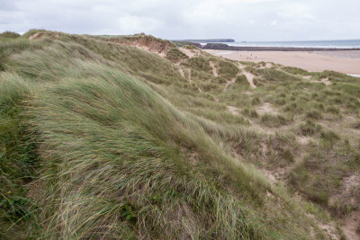 Freshwater West