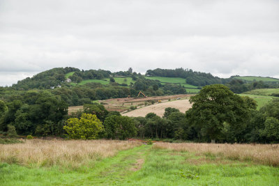 K_102464.jpg