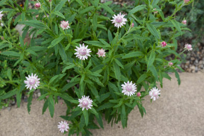K_102449.jpg