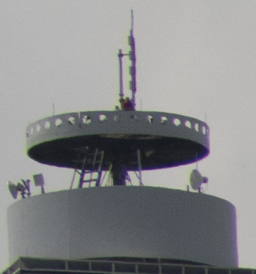 300centerfocuslowerright-1947.jpg